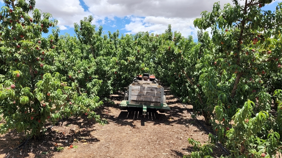 Commercial Property for Sale in Paarl Rural Western Cape